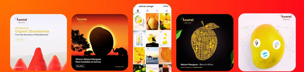 Aamrai Organic mango social media posts designed by Socialcave