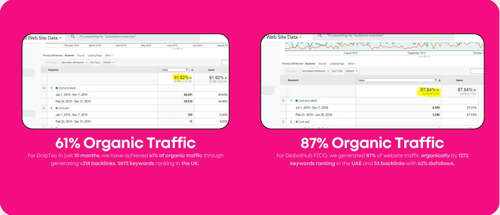 Google Analytics screenshots showing 61% organic traffic for DolpTec and 87% for GlobalHub FZCO