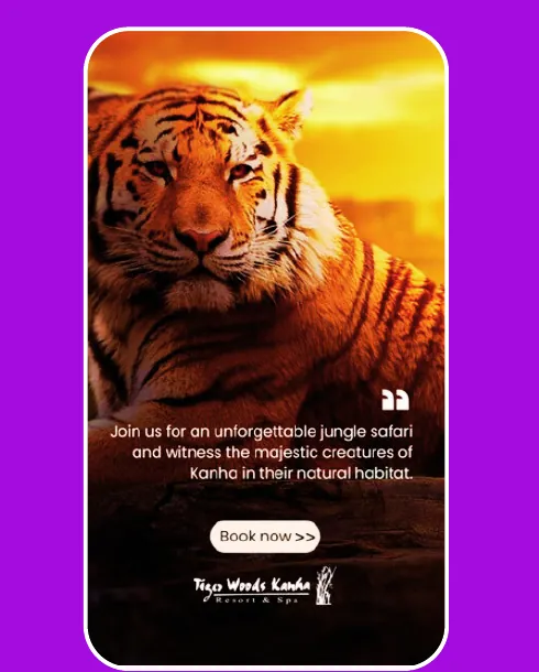 Tiger Woods Kanha Resort safari creative designed by Socialcave